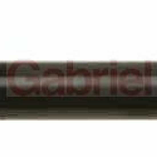 R6617 520581 ΑΜΟΡΤΙΣΕΡ ΟΠ.