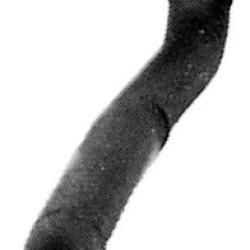 68671 / 1335294  ΣΩΛΗΝΑΣ 143++
