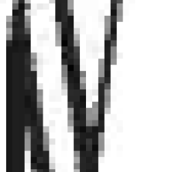 50893 / 6194921041 ΛΑΜΑΚΙ++